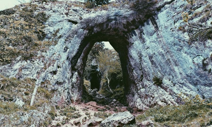 تست